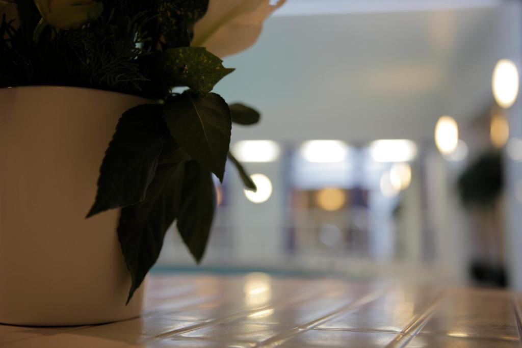 Hotel The Red Lea 3*
